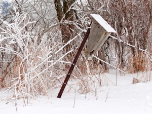 Leaky Fence