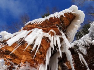 Icy Alligator