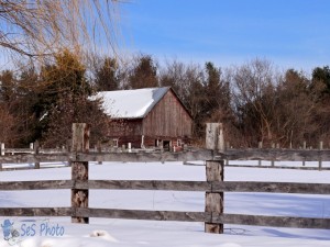 Signs of Winter