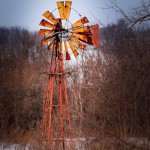 Wind Battered