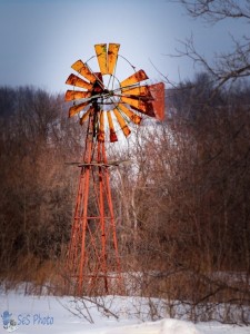 Wind Battered