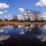 Refilled Pond