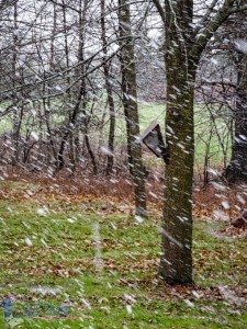 Late April Snow Showers