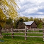 Springtime Barn