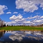 Springtime at the Pond