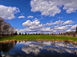 Springtime at the Pond