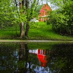 Red Reflections