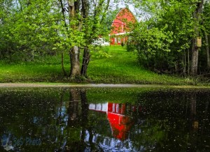 Red Reflections