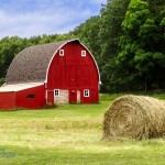 Finally Some Hay Baled