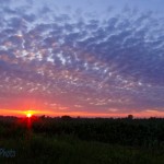 Sunset as Rain Ends