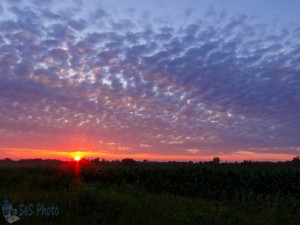 Sunset as Rain Ends