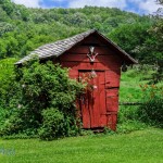 Cute Red Shed