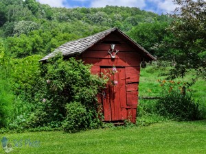 Cute Red Shed