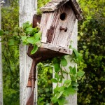 Planted Birdhouse