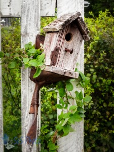 Planted Birdhouse