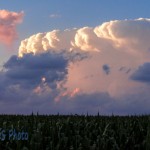 Firework Cloud