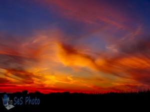 August Sunset