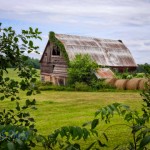 Surrounded by Green