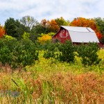 The Red P Barn