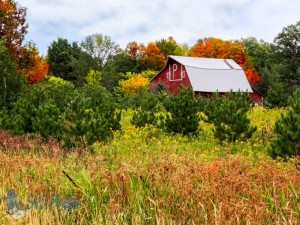 The Red P Barn