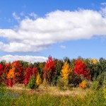 First Full Day of Autumn