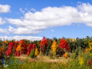 First Full Day of Autumn