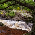 Rapids on the Amnicon