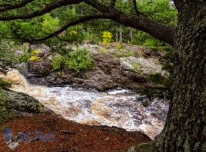 Rapids on the Amnicon