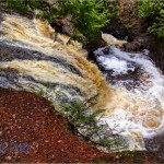 Snake Pit Falls