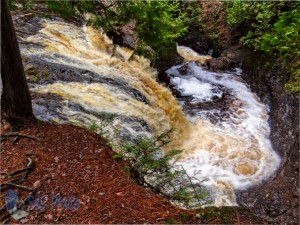 Snake Pit Falls