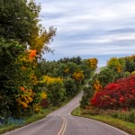 Faded Fall Road