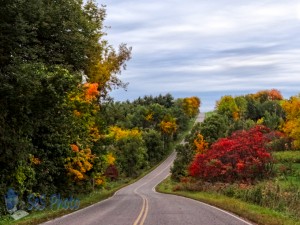 Faded Fall Road