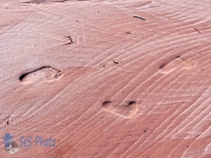 Footprints in the Sand