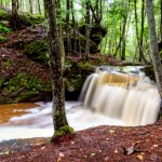 Watching Water Fall