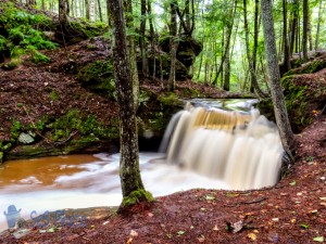 Watching Water Fall