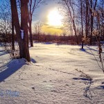 Cold Sunshine Walk