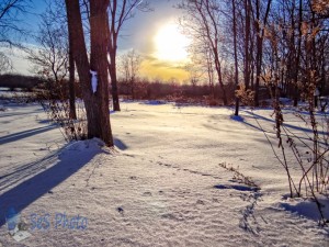 Cold Sunshine Walk