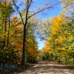 A Walk on an Autumn Road