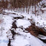 A Chilly January Stream