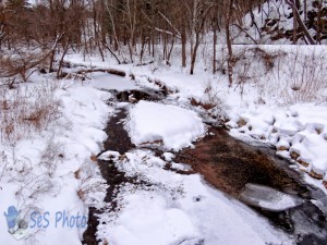 A Chilly January Stream