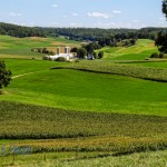 Rolling Patches of Green