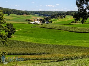 Rolling Patches of Green