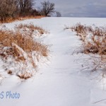 New Coating of Snow