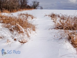 New Coating of Snow