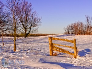 Winter Evening Approaches