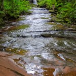 Downstream from Lost Creek Falls