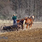 Planting with Horse Power