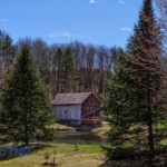 Barn Nestled Near Pond