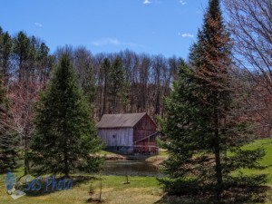 Barn Nestled Near Pond