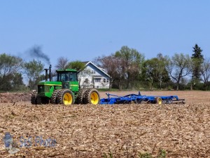 Spring Field Work